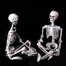 Poseable Full Life Human Skeleton Halloween House Prop Party Decor Outdoor 40cm