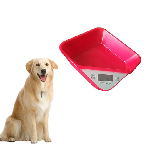 Digital pet scale veterinary - pet,