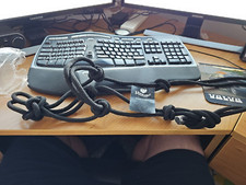 Rhinegold Rope Dogs Halter - Black, New