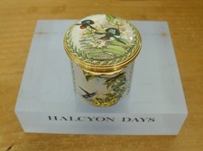 Halcyon Days/London Zoological