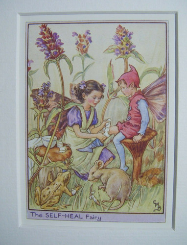 Vintage flower fairies print - vintage, &