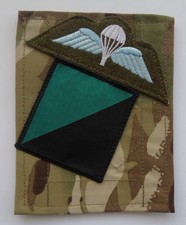 British Army Royal Irish Regiment MTP/Blanking Panel DZ Flash & Parachute Wings