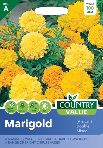 Flower seeds marigold african - flower,