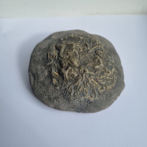 Unknown fossil lot 1 - unknown,