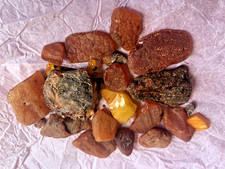 COLLECTIBLE LOT OF VARIOUS TYPES OF RAW AMBER 43 GRAMS +
