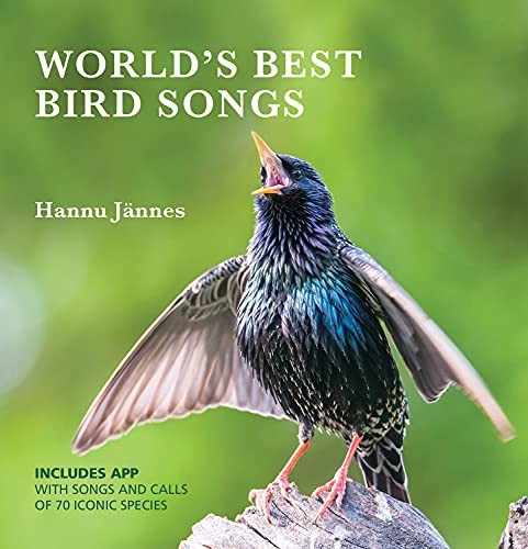 World best bird songs - world's, songs,hannu