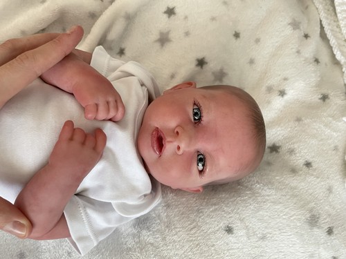 Berenguer reborn doll - berenguer,