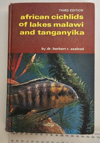 African cichlids lakes - african,