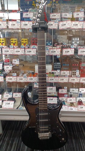 Aria pro wildcat alder - rs,