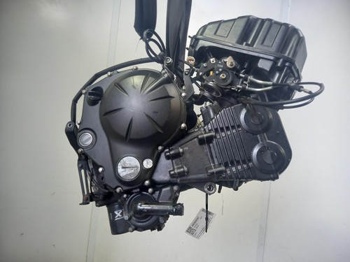 Kawasaki er6f engine - kawasaki, 2006-2019