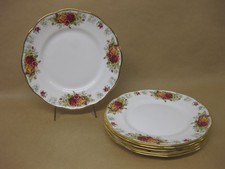 6 Vintage Queen's Rosina China