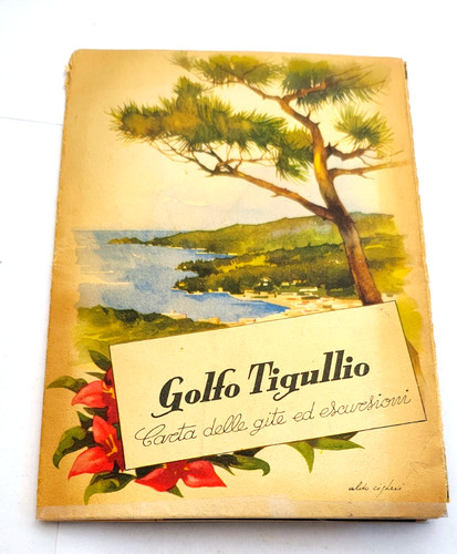 Gulf tigullio map - map, of
