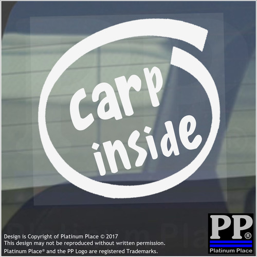 Carp inside window - car, van