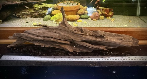 Large aquarium driftwood - large,
