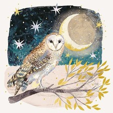 Charity Christmas Xmas Cards -