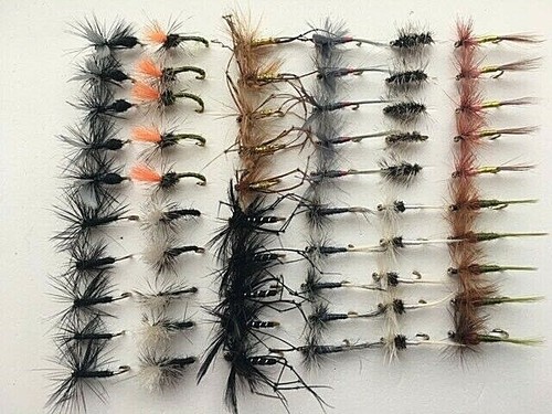 Season trout fishing - season,