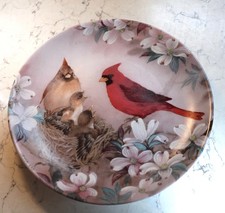 Cardinal Bird Nest Bradex