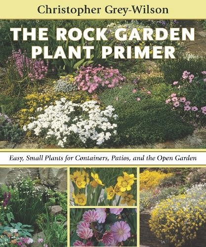 The rock garden - garden, plant
