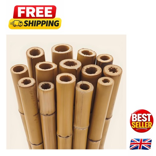 Professional grade bamboo - grade,