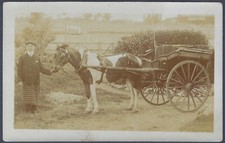 Butcher with horse & cart at