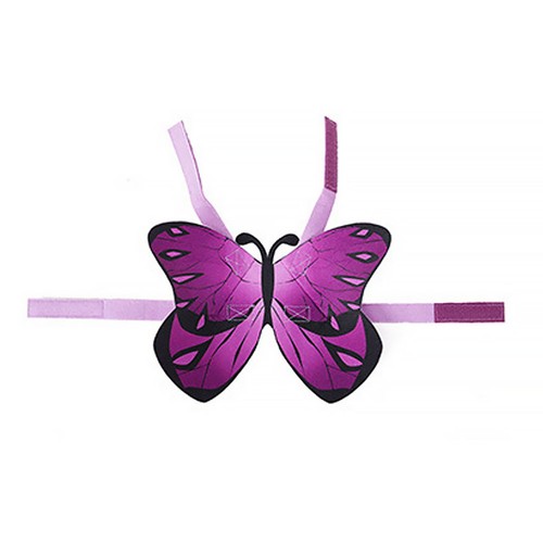 Pet butterflies wing - pet, cat
