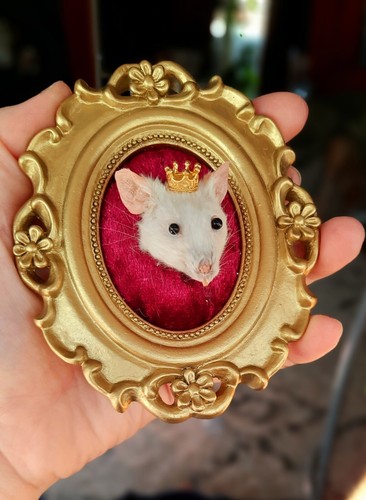 Taxidermy mouse head - head, king