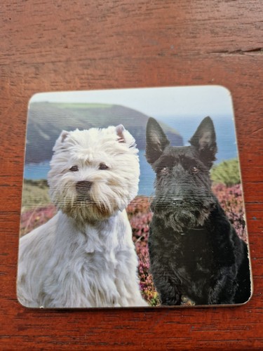 West highland terrier - west,