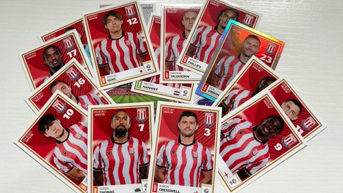 Panini efl 2025 sticker - efl,