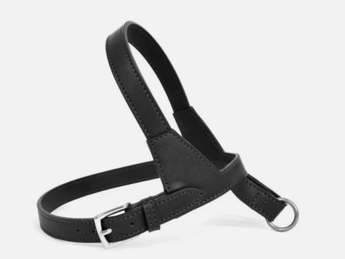Black vegan apple leather dog - vegan,