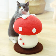 Cat Scratching Post Mushroom