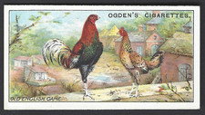 OGDENS - POULTRY (1-25, OGDENS) - #7 OLD ENGLISH GAME