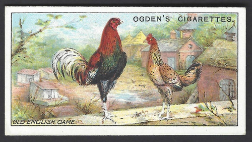 Ogdens poultry 1 25 - -,