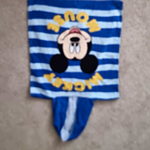 Disney mickey mouse hooded - mouse,