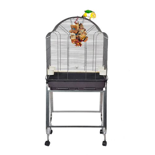 Antique brasil parrot cage - cage, on