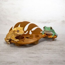 Leaf reptile feeding ledge - leaf,