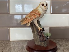 Border Fine Arts RB15 Barn Owl