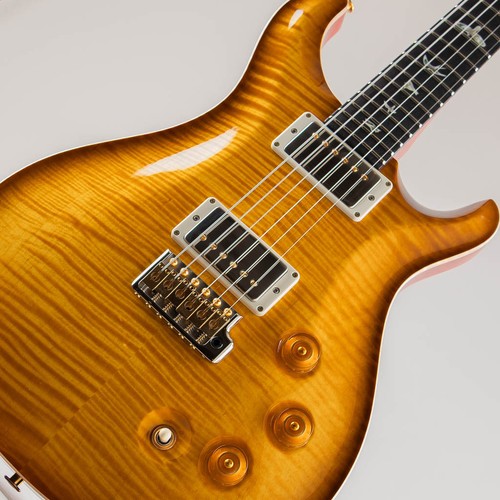 Paul reed smith dgt - reed,