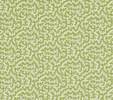 SANDERSON CURTAIN FABRIC