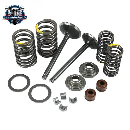 Engine valve comp springs - valve,
