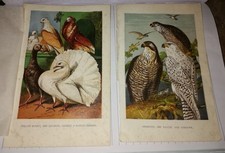 2 x Antique Handpainted Book