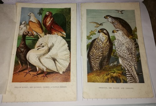 Antique handpainted book - antique,
