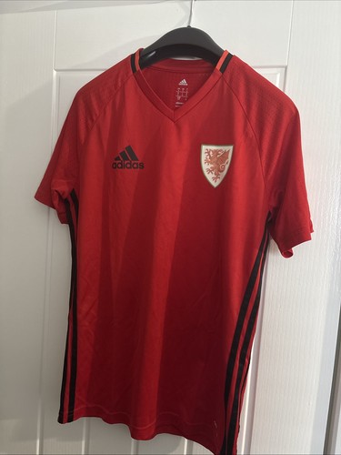 Men wales national team - wales,