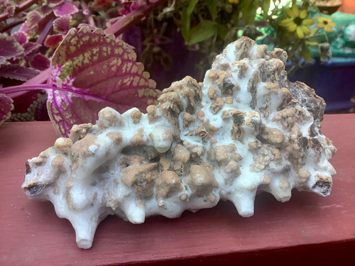 Cave calcite crystal cluster - cluster, ~
