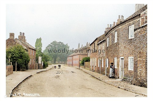Ptc3943 yorks horse - -,
