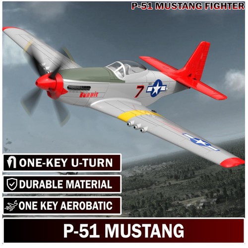 Gift for adults - p51, mustang