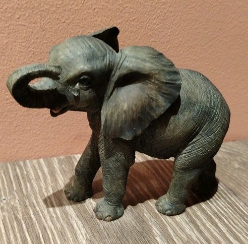 Leonardo collection - leonardo, collection's