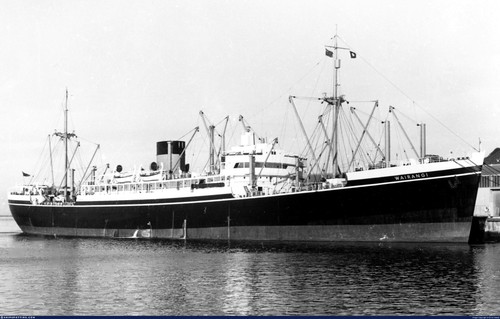 Resin steamer wairangi of - steamer, 'wairangi'