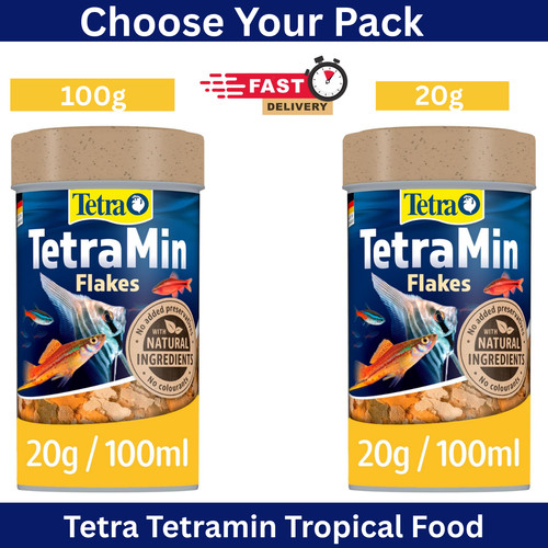 Tetra tetramin tropical fish - tetra,