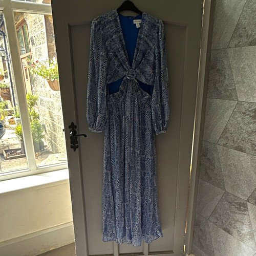 Style cheat blue white animal - style,