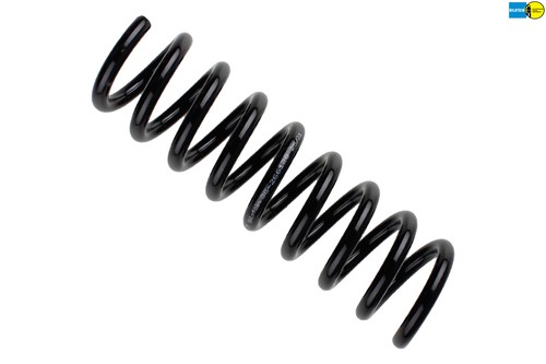 Rear suspension spring fits - spring,